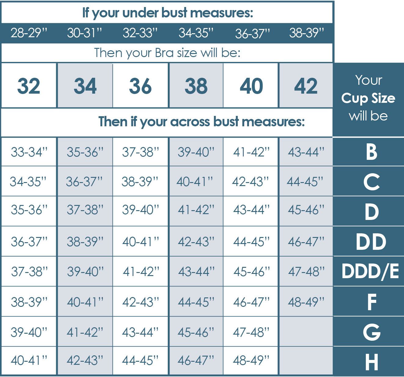 Pin by jummai bulus on Bra types  Bra chart, Sister bra sizes, Bra size  charts